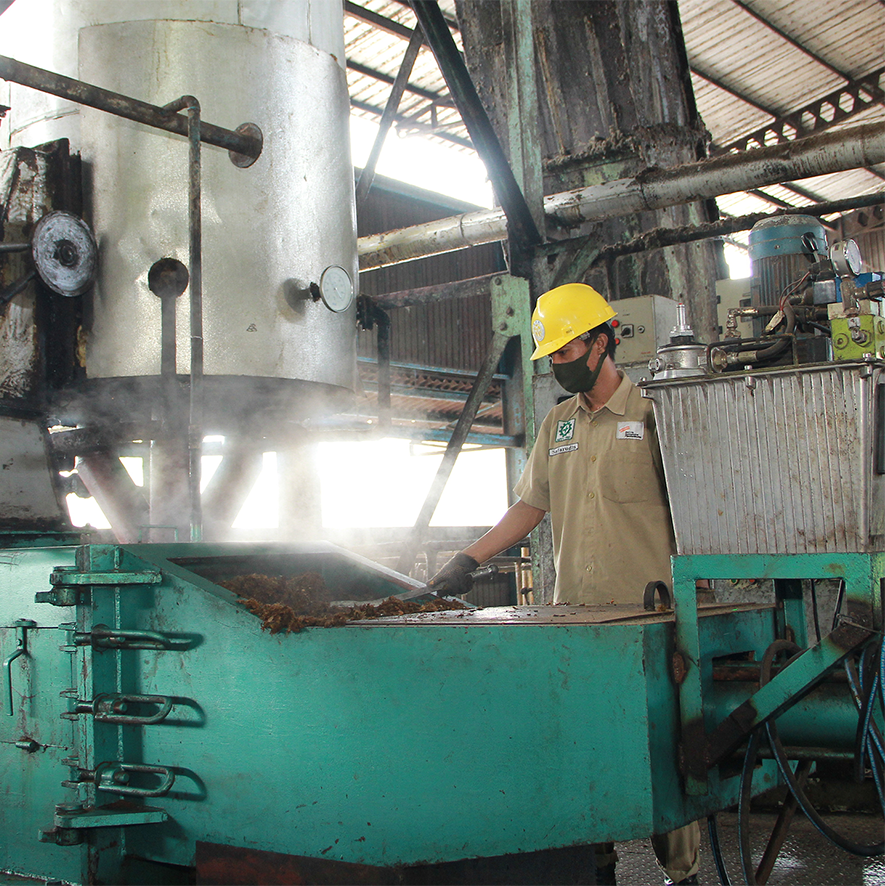 Production / Business Activities