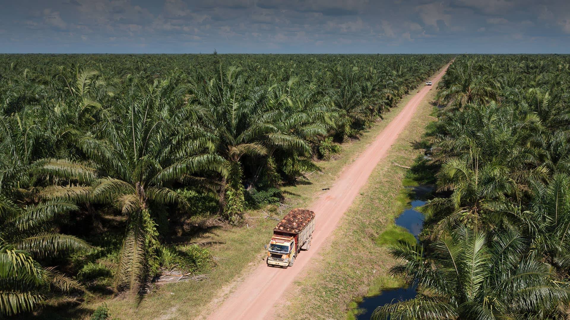 Sustainable Management
of Natural Resources